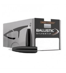 Palle Nosler Ballistic Silvertip cal 6 mm gr 95